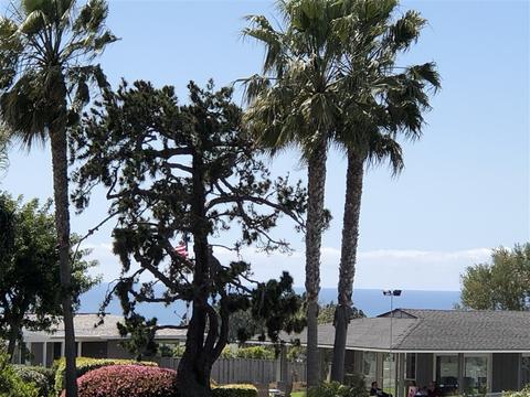 620 E Solana Cir, Solana Beach, CA 92075 photo 17