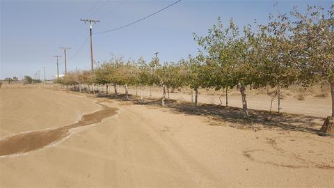 10376 White Rd, Phelan, CA 92371 photo 8