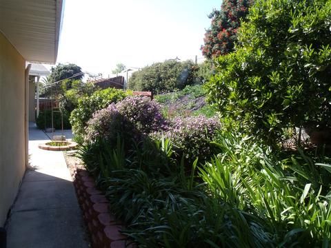9386 Gregory St, La Mesa, CA 91942 photo 24