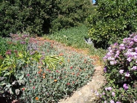 9386 Gregory St, La Mesa, CA 91942 photo 22