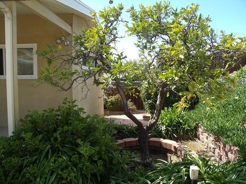 9386 Gregory St, La Mesa, CA 91942 photo 21