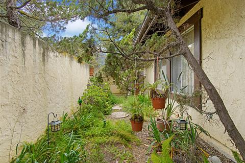 3032 Levante St, Carlsbad, CA 92009 photo 4