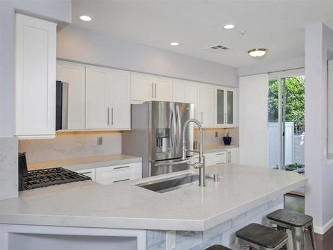 604 Silver Berry, Encinitas, CA 92024 photo 3
