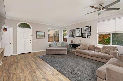 519 Anchorage Ave, Carlsbad, CA 92011 photo 5