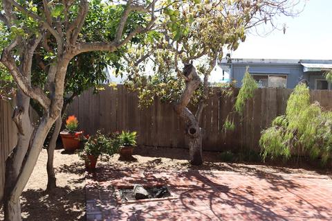206 Calle De Madera, Encinitas, CA 92024 photo 4
