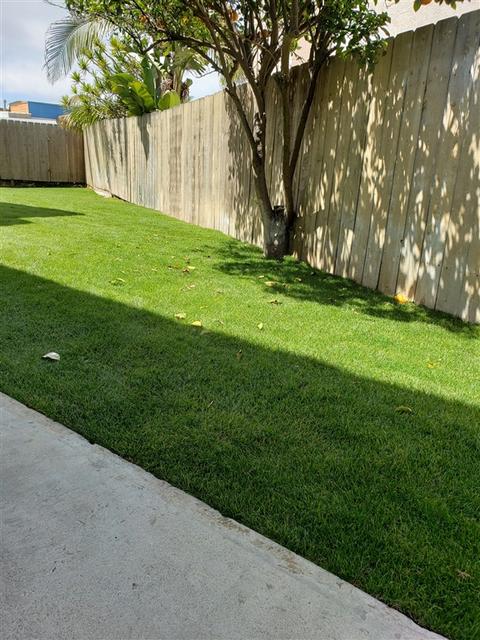 206 Calle De Madera, Encinitas, CA 92024 photo 22