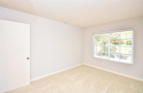2910 Lancaster Rd, Carlsbad, CA 92010 photo 19