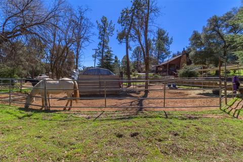 7659 Deodar Trl, Pine Valley, CA 91962 photo 5