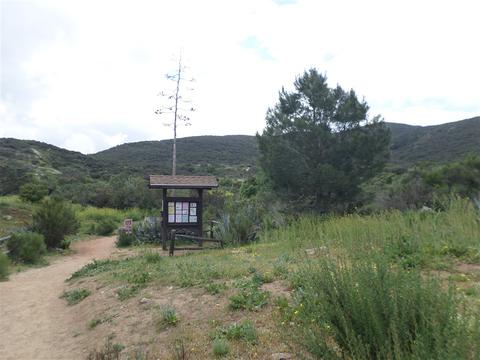 8081 Poplin Dr, Santee, CA 92071 photo 25