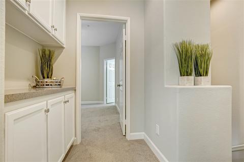 345 Carmel Creeper Pl, Encinitas, CA 92024 photo 10