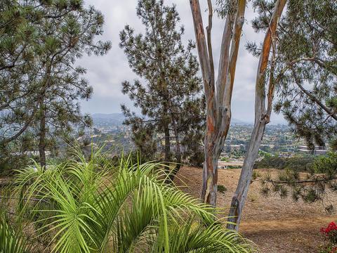 761 Lynwood Dr, Encinitas, CA 92024 photo 23