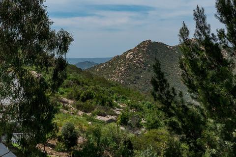 357 Alta Ln, El Cajon, CA 92021 photo 23
