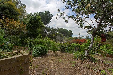 7901 Cinnabar Dr, La Mesa, CA 91941 photo 22
