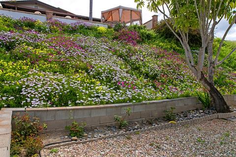 3242 Isabella Dr, Oceanside, CA 92056 photo 18