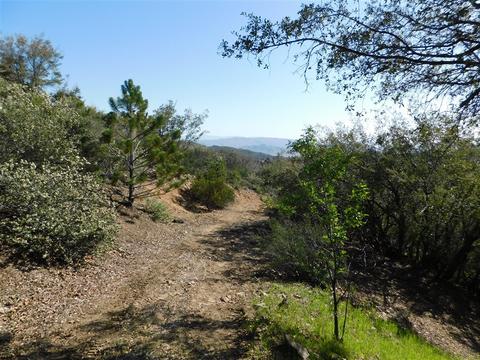 3275 Hickman Pl, Julian, CA 92036 photo 22