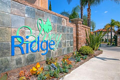 476 Blue Sage Way, Oceanside, CA 92057 photo 21