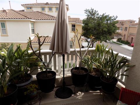 4078 Karst Rd, Carlsbad, CA 92010 photo 13