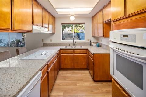 29309 Rua Alta Vis, Pine Valley, CA 91962 photo 9