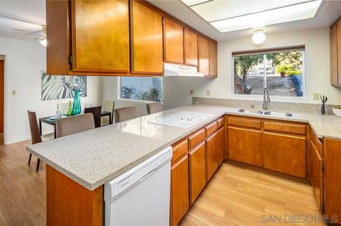 29309 Rua Alta Vis, Pine Valley, CA 91962 photo 10