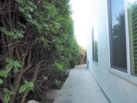 1603 Traske Rd, Encinitas, CA 92024 photo 12