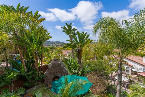 8045 Paseo Avellano, Carlsbad, CA 92009 photo 22