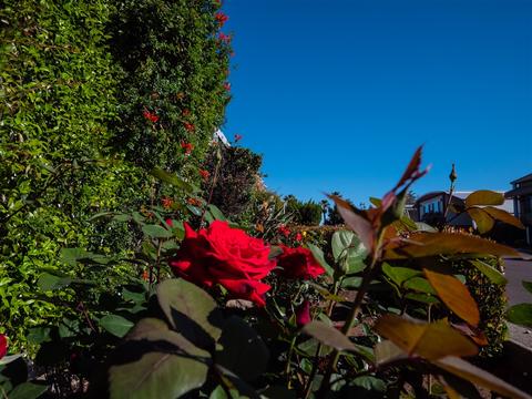 1010 E Bobier Dr #208, Vista, CA 92084 photo 24