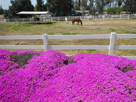 568 Rancho Trails Rd, Ramona, CA 92065 photo 25