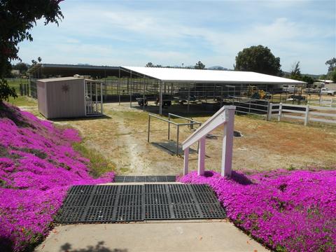 568 Rancho Trails Rd, Ramona, CA 92065 photo 15