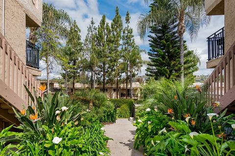 9860 Dale Ave #A10, Spring Valley, CA 91977 photo 17