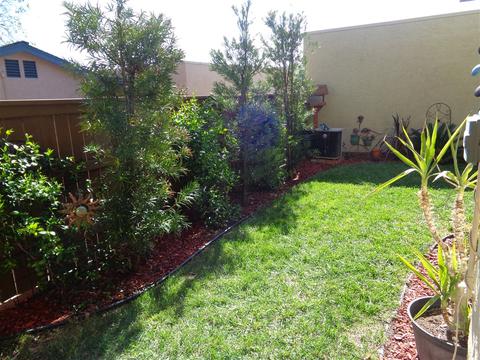 10231 Alphonse St, Santee, CA 92071 photo 22