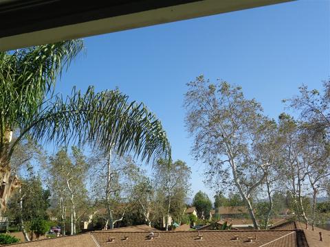 10231 Alphonse St, Santee, CA 92071 photo 17