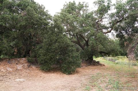Undisclosed, Ramona, CA 92065 photo 7