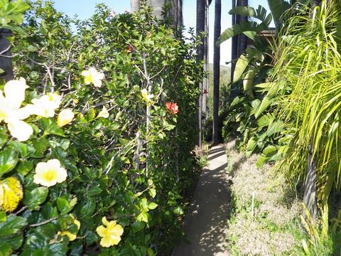 3387-91 Fairview Dr, Vista, CA 92084 photo 19