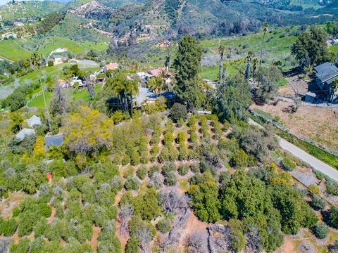 3387-91 Fairview Dr, Vista, CA 92084 photo 22
