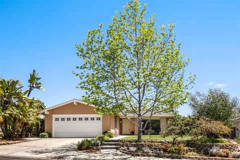 167 Countryhaven Rd, Encinitas, CA 92024 photo 18