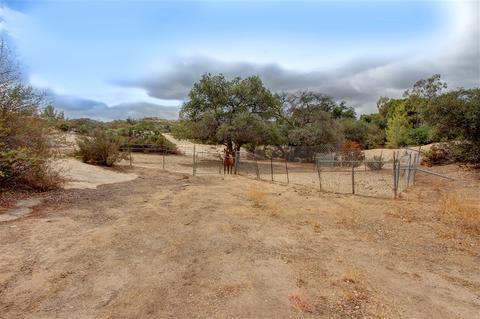 3560 Big Cat Trl, Alpine, CA 91901 photo 14