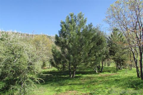 5225 Grandview Rd, Julian, CA 92036 photo 15