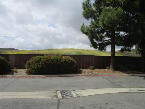 863 Dana Point Way, Oceanside, CA 92058 photo 24
