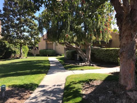 306 Ivy Ln, Fallbrook, CA 92028 photo 5