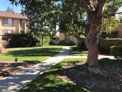 306 Ivy Ln, Fallbrook, CA 92028 photo 4