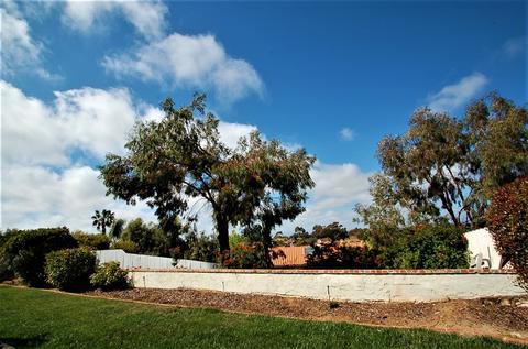 2756 Avalon Ave, Carlsbad, CA 92010 photo 3