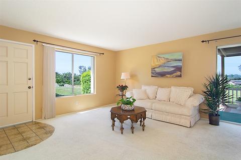 1709 Pleasantdale Dr, Encinitas, CA 92024 photo 1