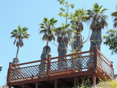 5288 Leon St, Oceanside, CA 92057 photo 23
