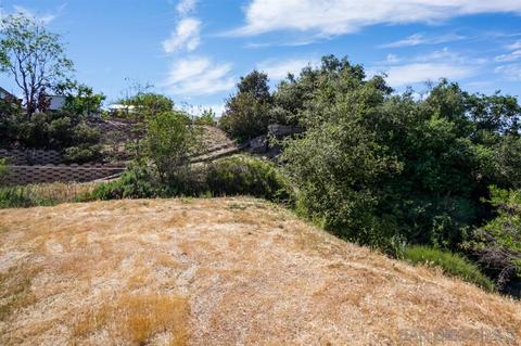 1129 Peutz Valley Rd, Alpine, CA 91901 photo 20