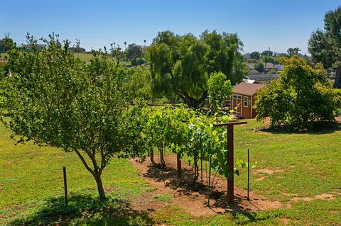 2025 Sunnycrest Ln, Fallbrook, CA 92028 photo 5