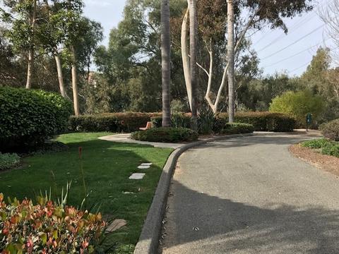 6825 Adolphia Dr, Carlsbad, CA 92011 photo 16
