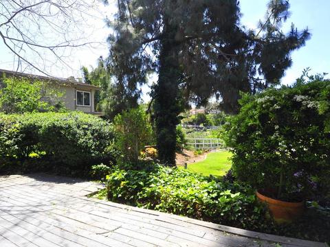 3103 Via De Caballo, Encinitas, CA 92024 photo 24