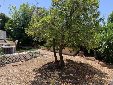 1010 E Bobier Dr #152, Vista, CA 92084 photo 3