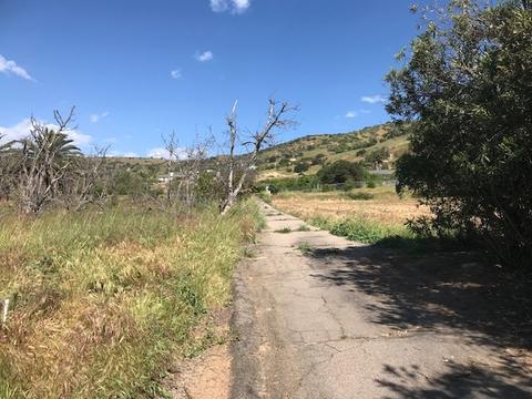 184 Hanson Ln, Ramona, CA 92065 photo 5