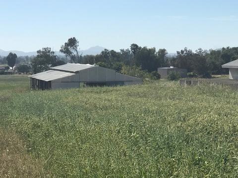 184 Hanson Ln, Ramona, CA 92065 photo 2